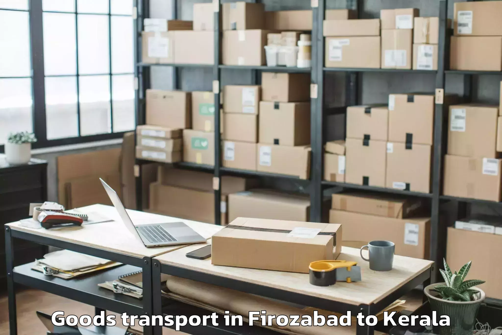 Professional Firozabad to Ambalapuzha Goods Transport